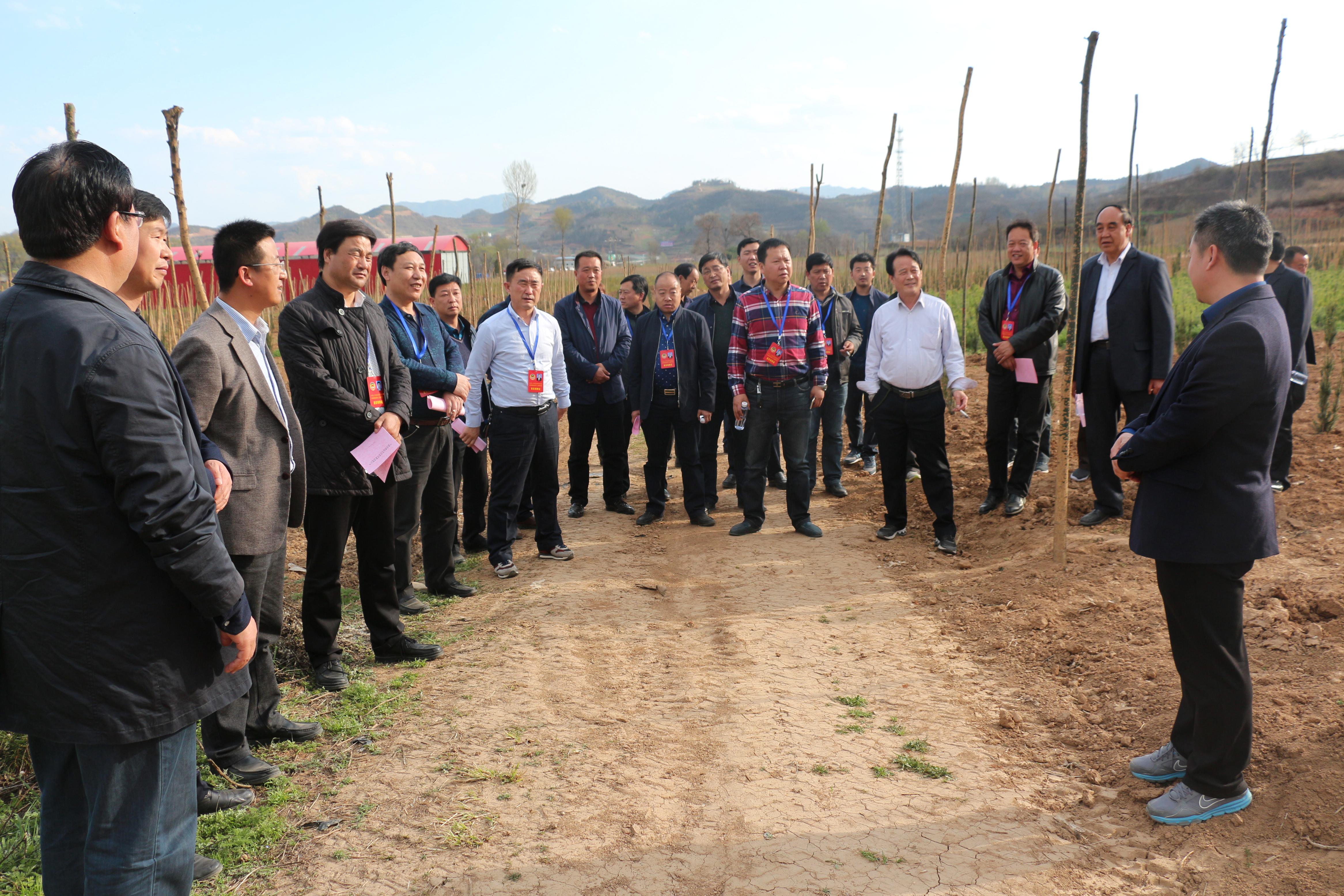 �տh���f(xi��)��ľ�a(ch��n)�I(y��)�{(di��o)�нM����ʢ�r(n��ng)�ֹ�˾�{(di��o)��