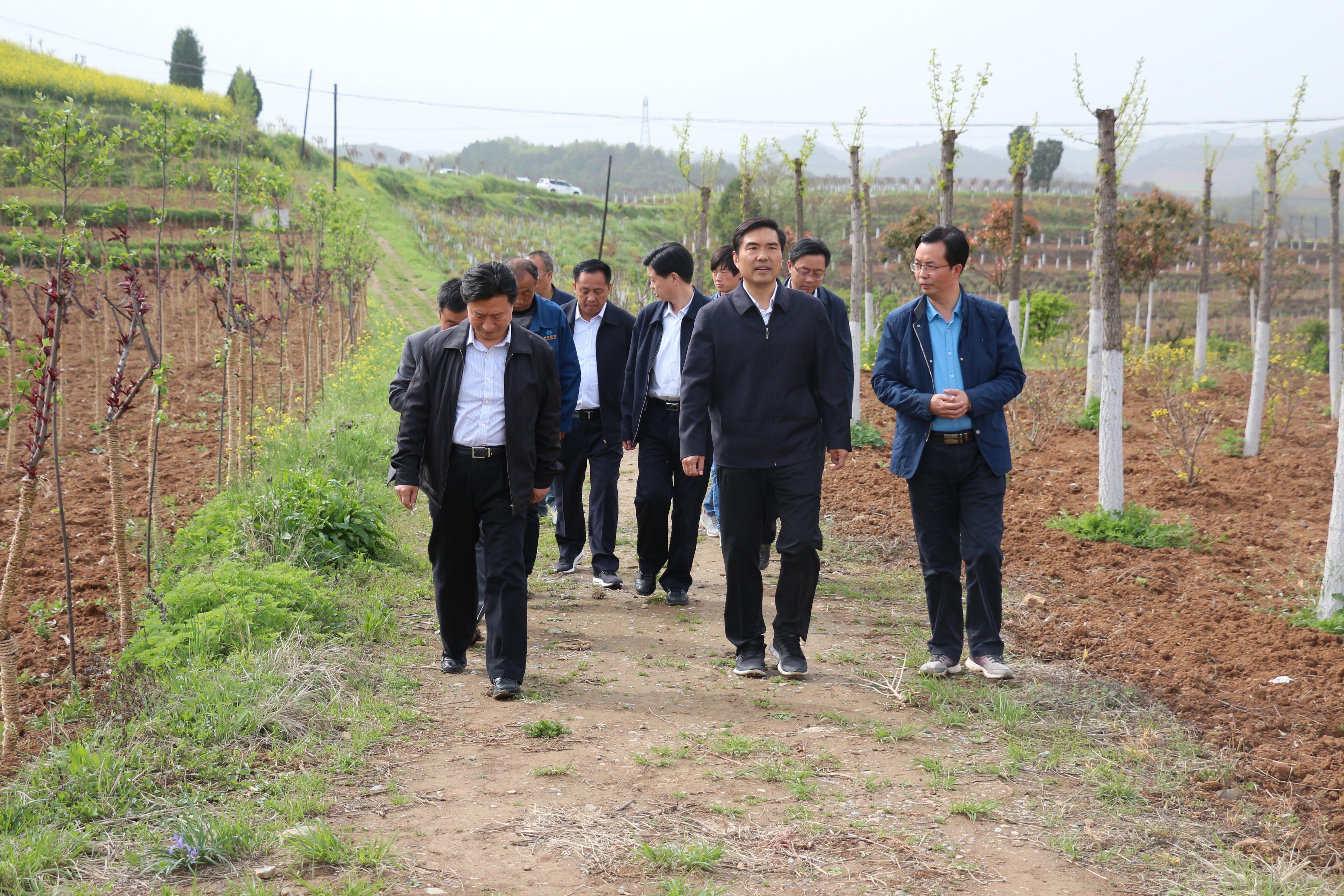 ��ί��ӛ�Oѩ��������ʢ�r(n��ng)�ֹ�˾�{(di��o)��