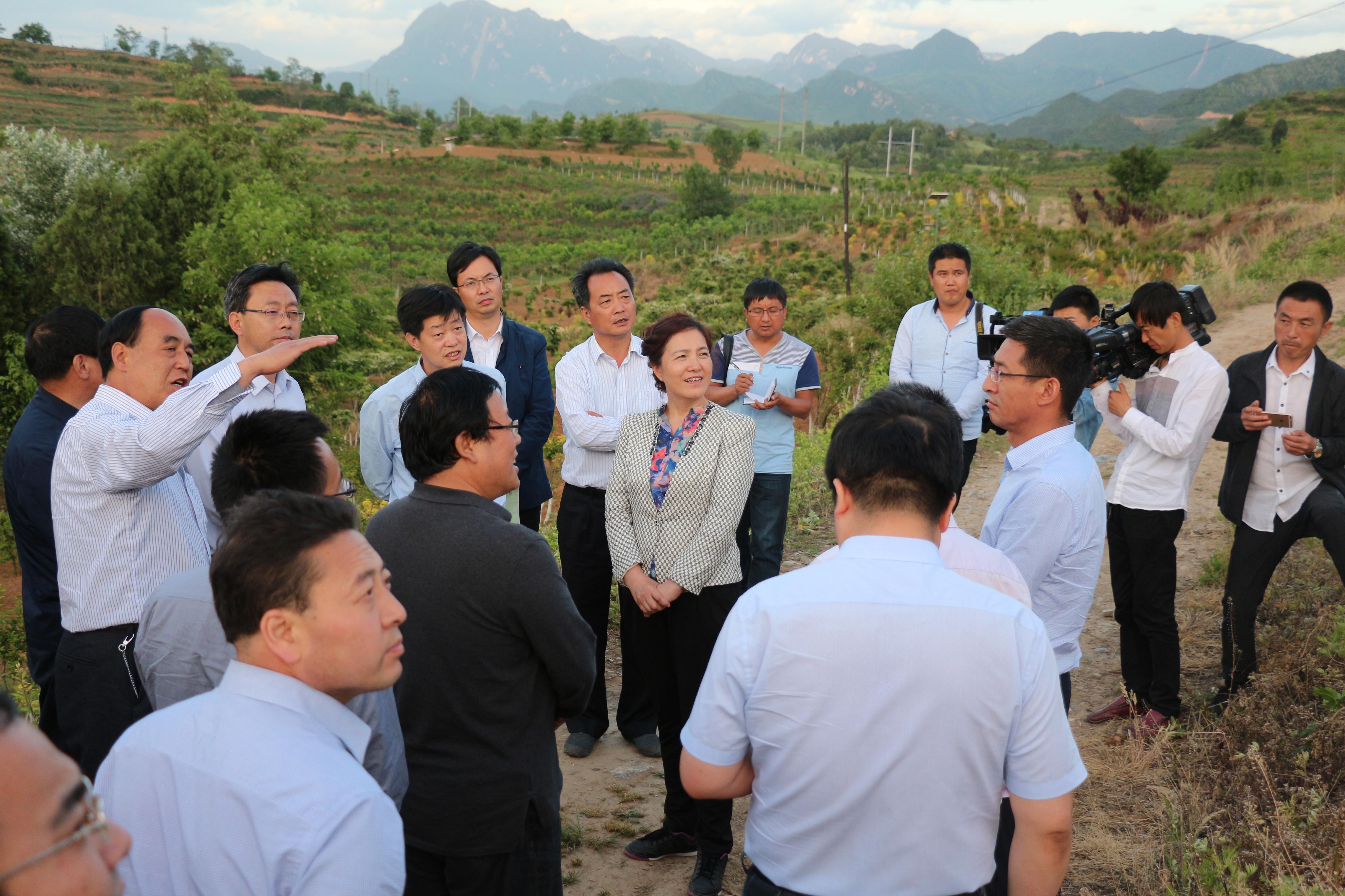 ���L(zh��ng)�����(l��i)��ʢ�r(n��ng)�ֹ�˾�{(di��o)��